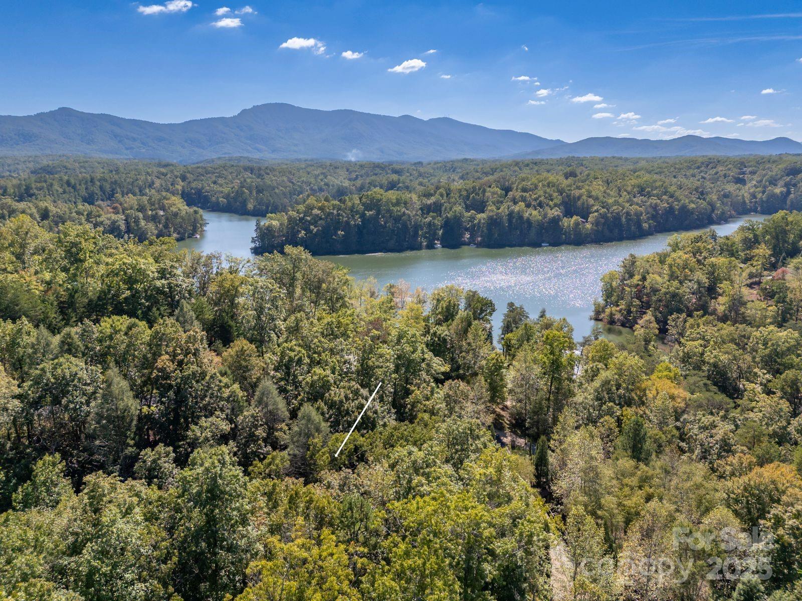 0 Mountain Parkway, Unit 29 Mill Spring, NC 28756 - Photo 5 of 15 a view of lake and mountain
