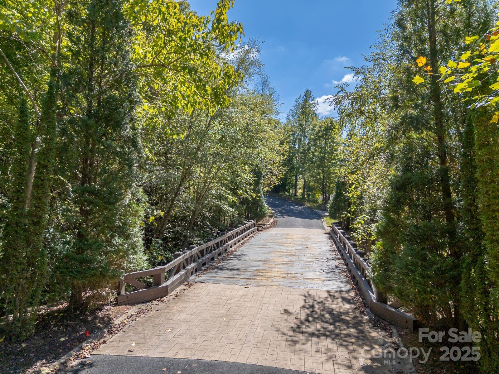 0 Mountain Parkway, Unit 29 Mill Spring, NC 28756 - Photo 7 of 15 a view of a pathway both side of yard