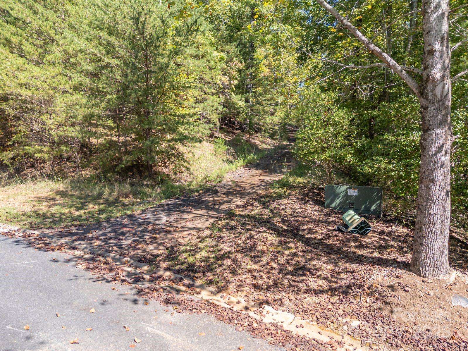 0 Mountain Parkway, Unit 29 Mill Spring, NC 28756 - Photo 9 of 15 a view of a yard with plants and trees