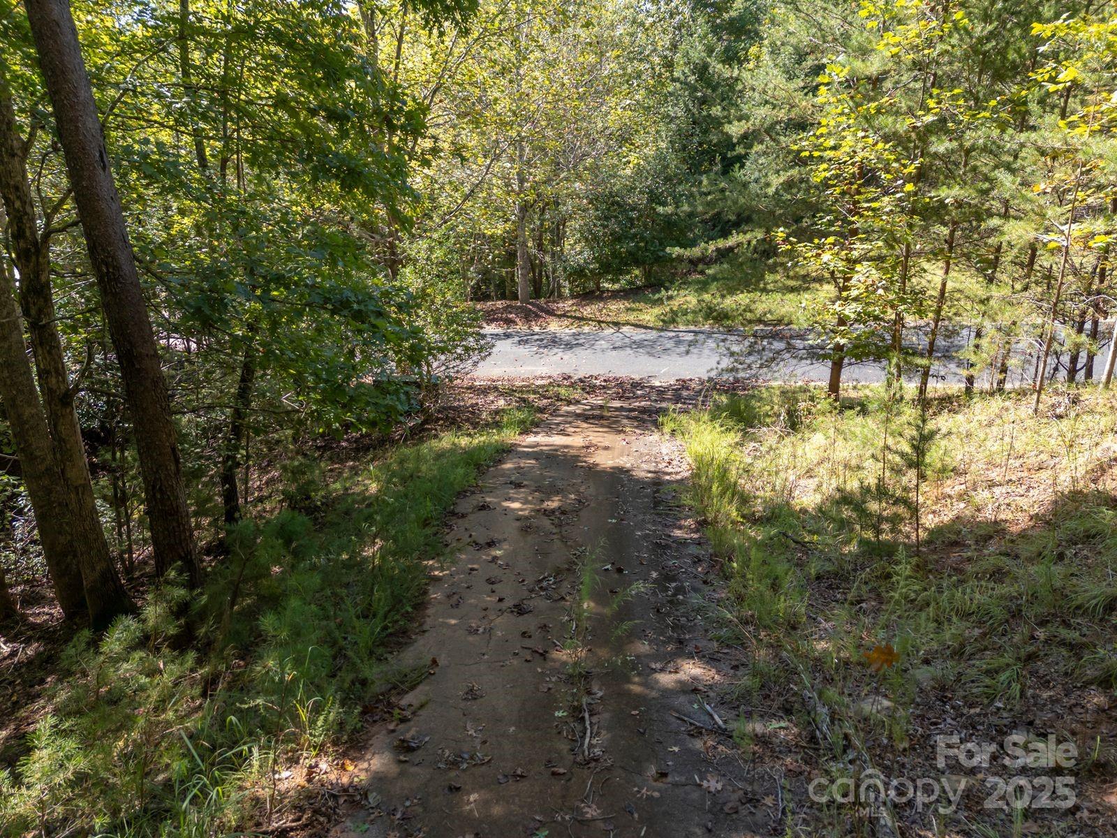 0 Mountain Parkway, Unit 29 Mill Spring, NC 28756 - Photo 10 of 15 a view of a yard with plants and large trees