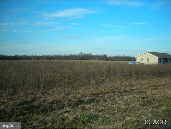 Sharps Road Milford, DE 19963 - Photo 1 of 2 Gallery Image 1