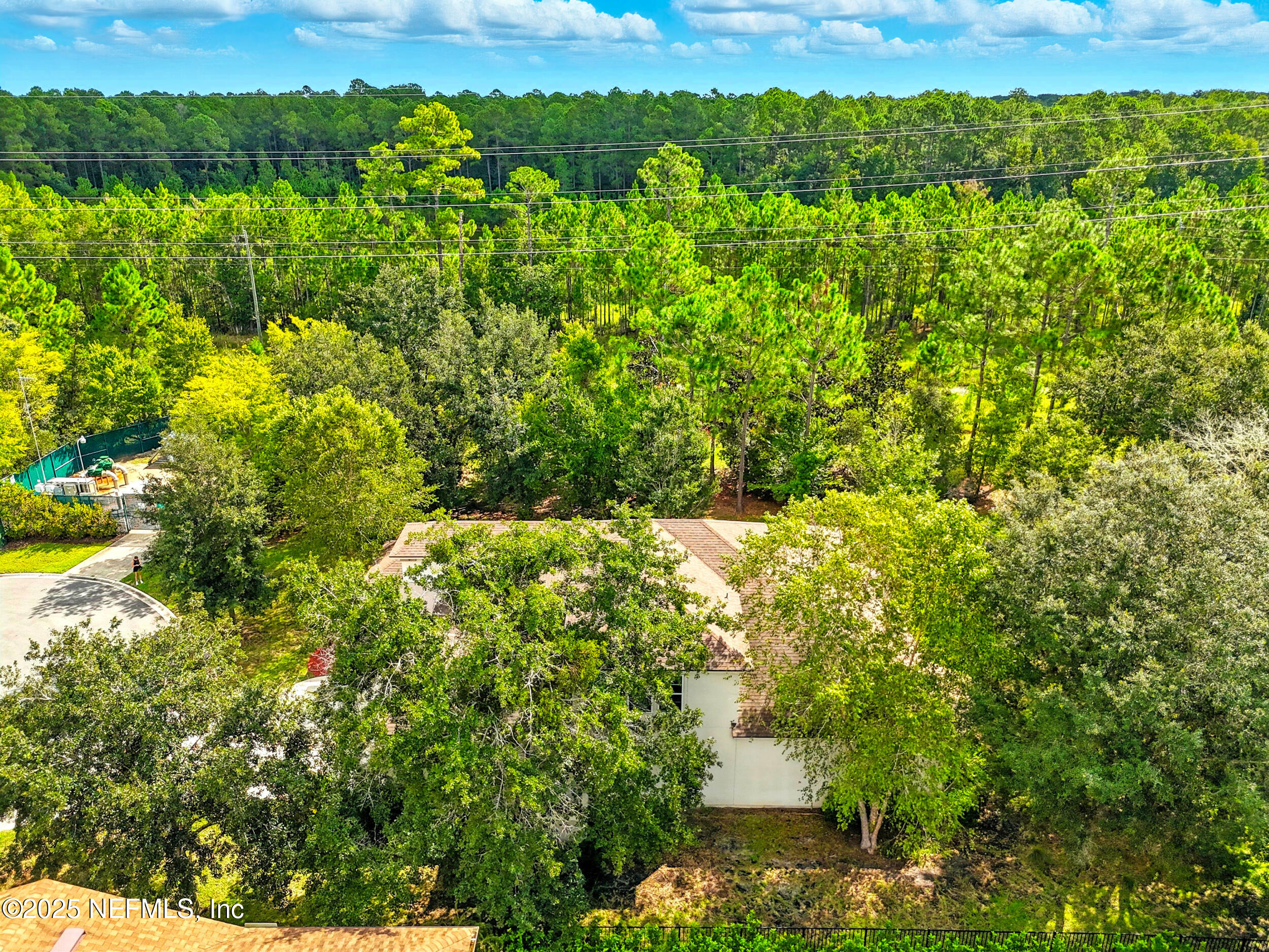5133 Foliage Way St. Augustine, FL 32092 - Photo 43 of 76 Bird's View