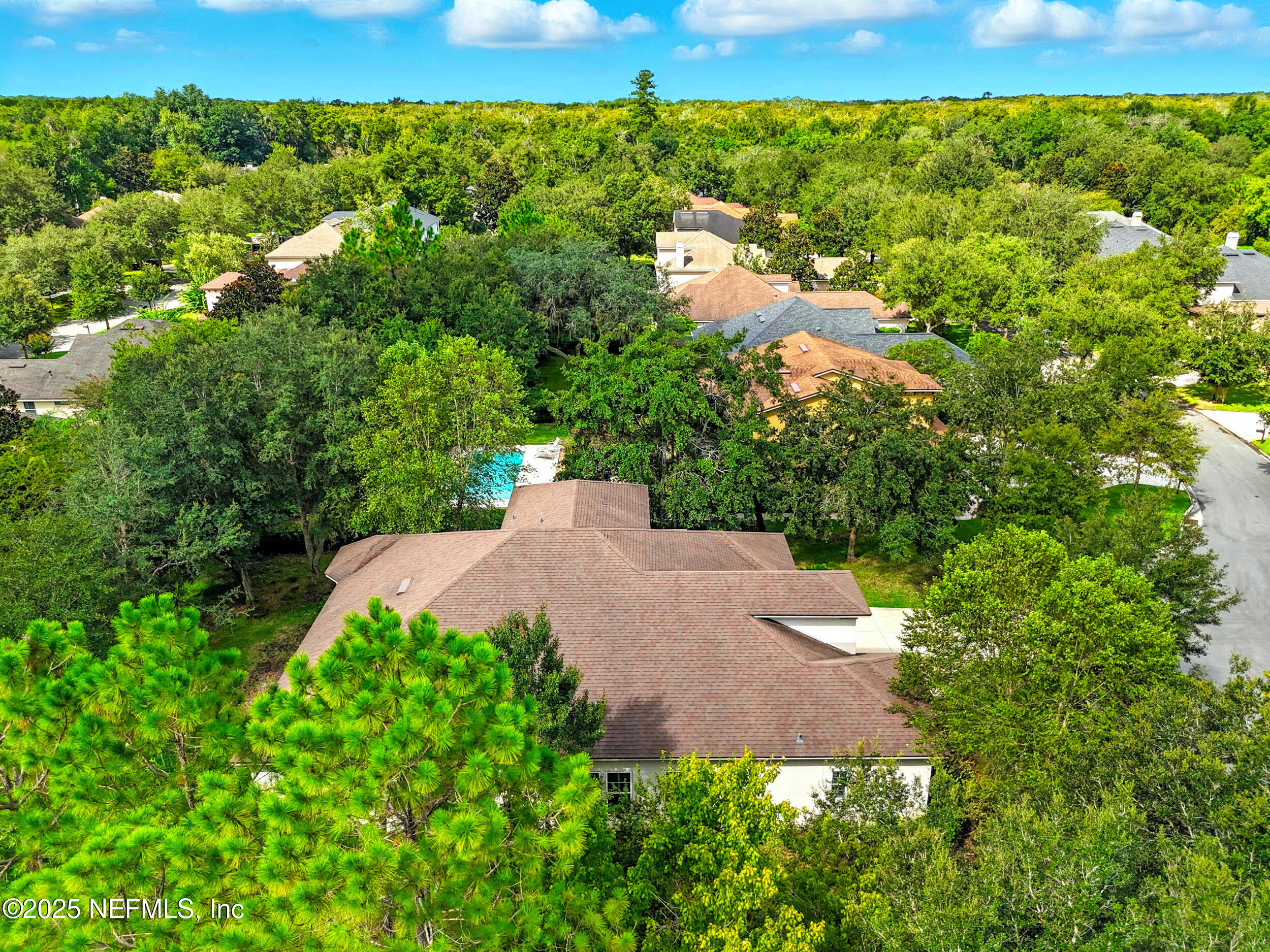 5133 Foliage Way St. Augustine, FL 32092 - Photo 44 of 76 Bird's View