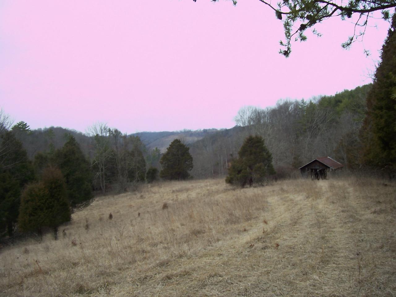 Lilly Dale Road Greenville, WV 24945 - Photo 1 of 2 Wonderful Views from Building site