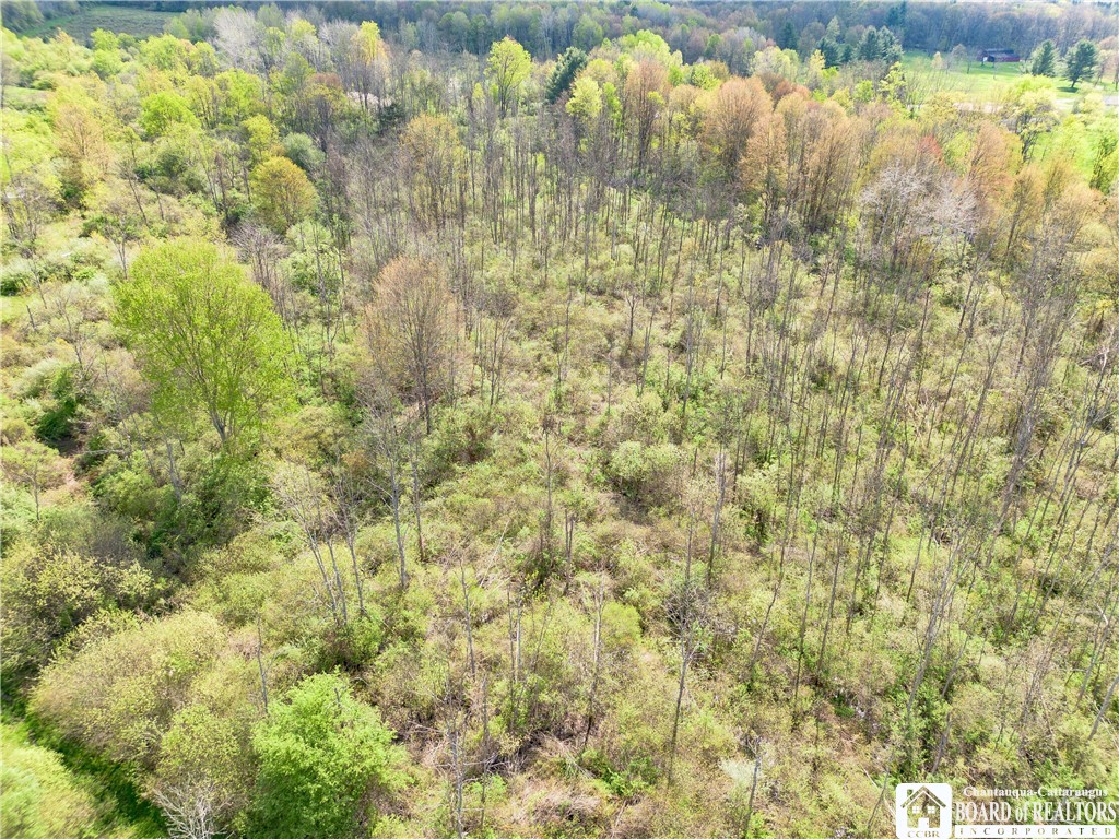 861 Warren Road Carroll, NY 14738 - Photo 11 of 14