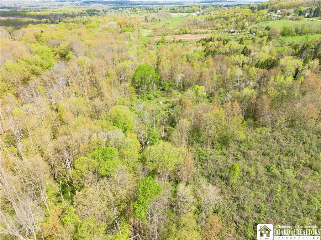 861 Warren Road Carroll, NY 14738 - Photo 12 of 14 Gas Well