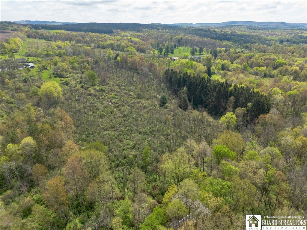 861 Warren Road Carroll, NY 14738 - Photo 13 of 14