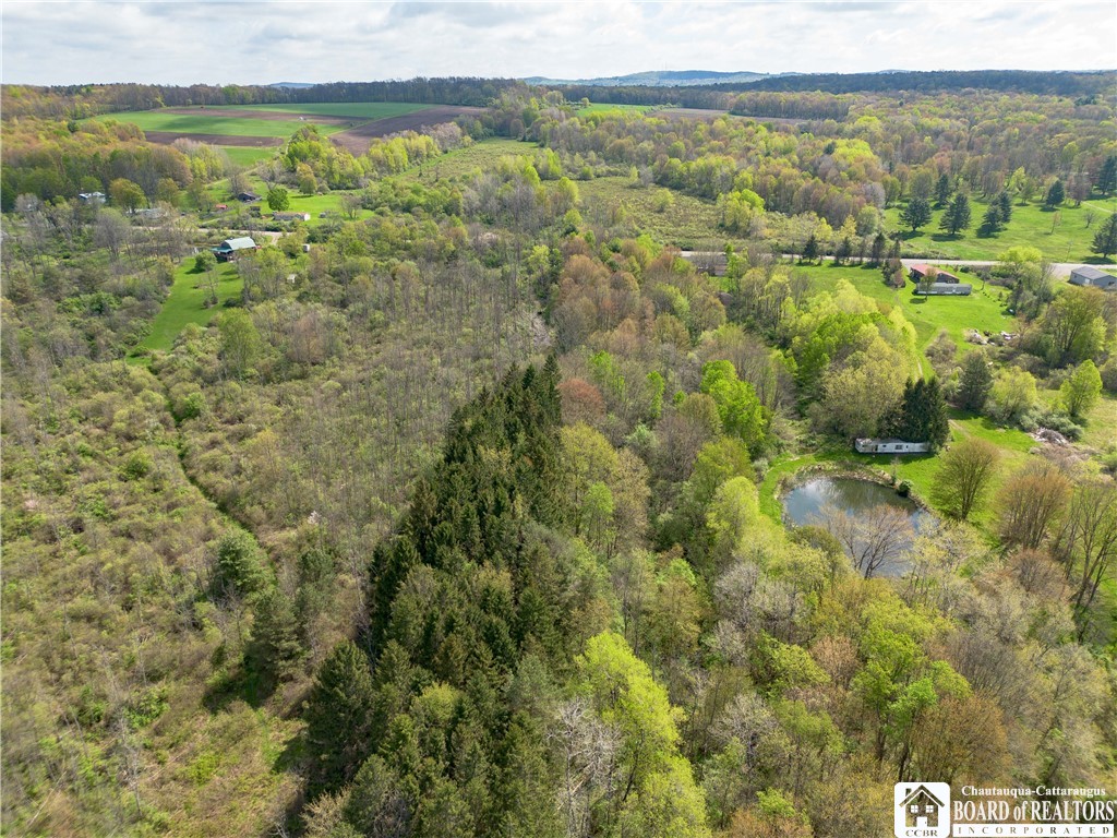 861 Warren Road Carroll, NY 14738 - Photo 14 of 14