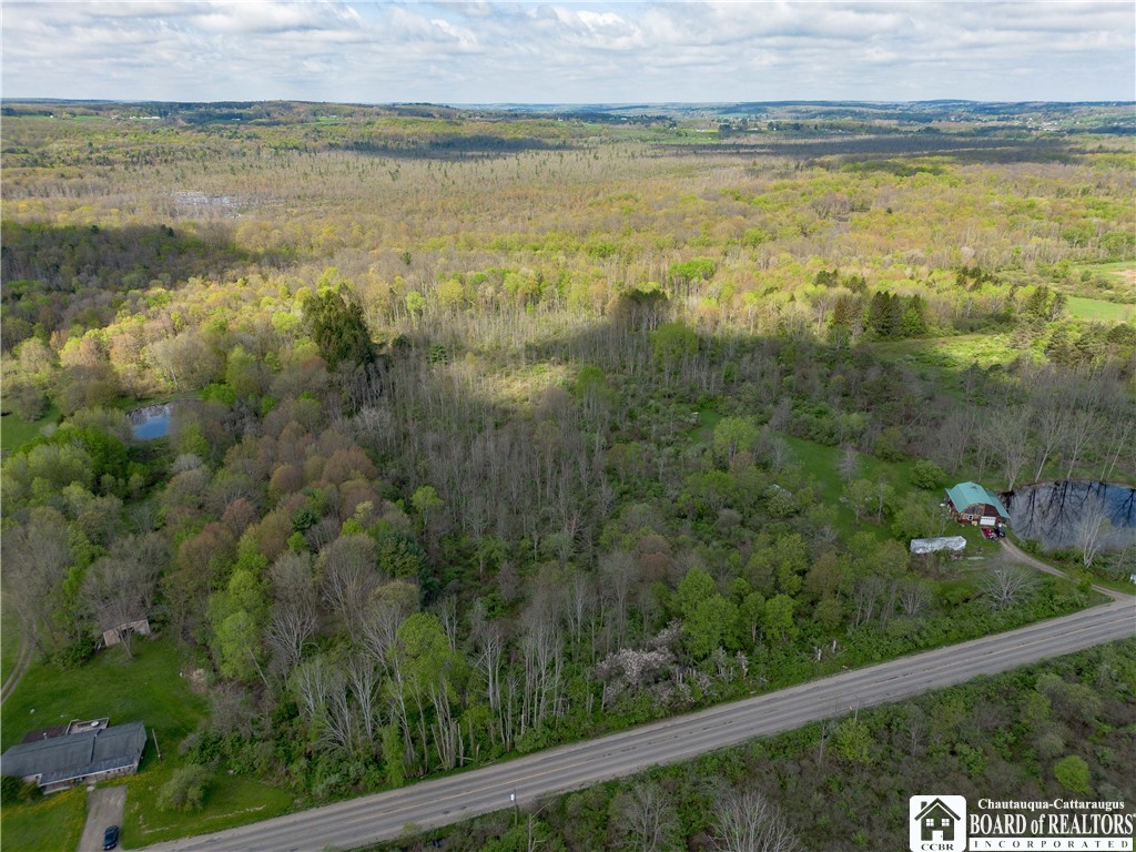 861 Warren Road Carroll, NY 14738 - Photo 3 of 14