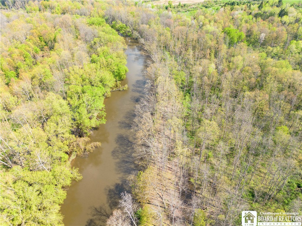 861 Warren Road Carroll, NY 14738 - Photo 6 of 14