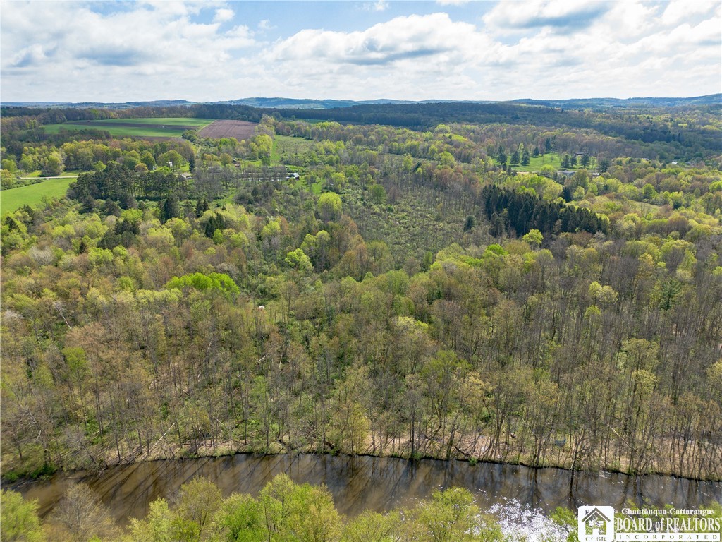 861 Warren Road Carroll, NY 14738 - Photo 7 of 14