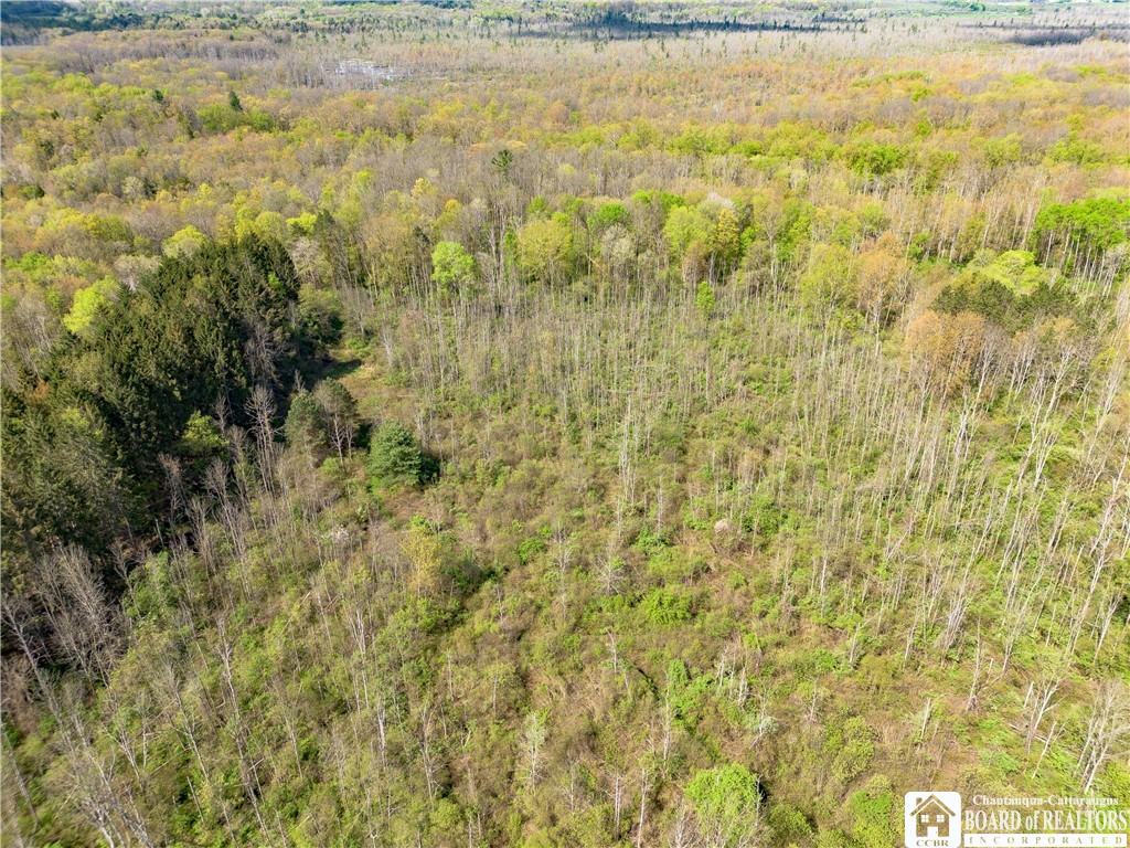 861 Warren Road Carroll, NY 14738 - Photo 9 of 14