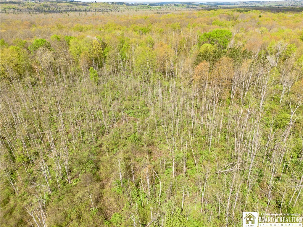 861 Warren Road Carroll, NY 14738 - Photo 10 of 14