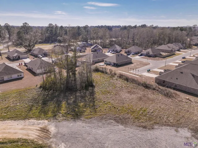 $50,000 | Lot B-1 Lot B-1 C Burgess Road, Denham Springs, LA 70726
