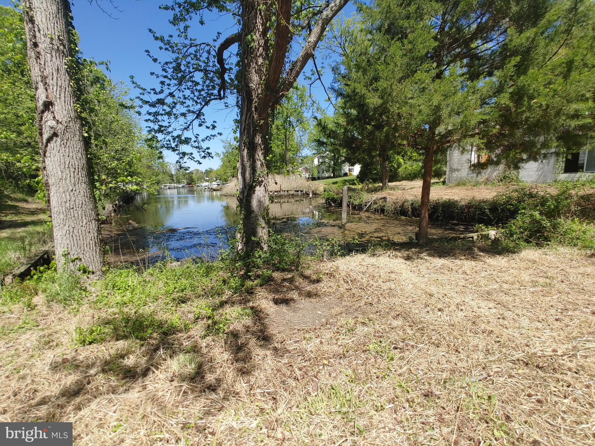 4180 Shoreham Beach Road Edgewater, MD 21037 - Photo 2 of 26 a backyard of a house with lots of green space