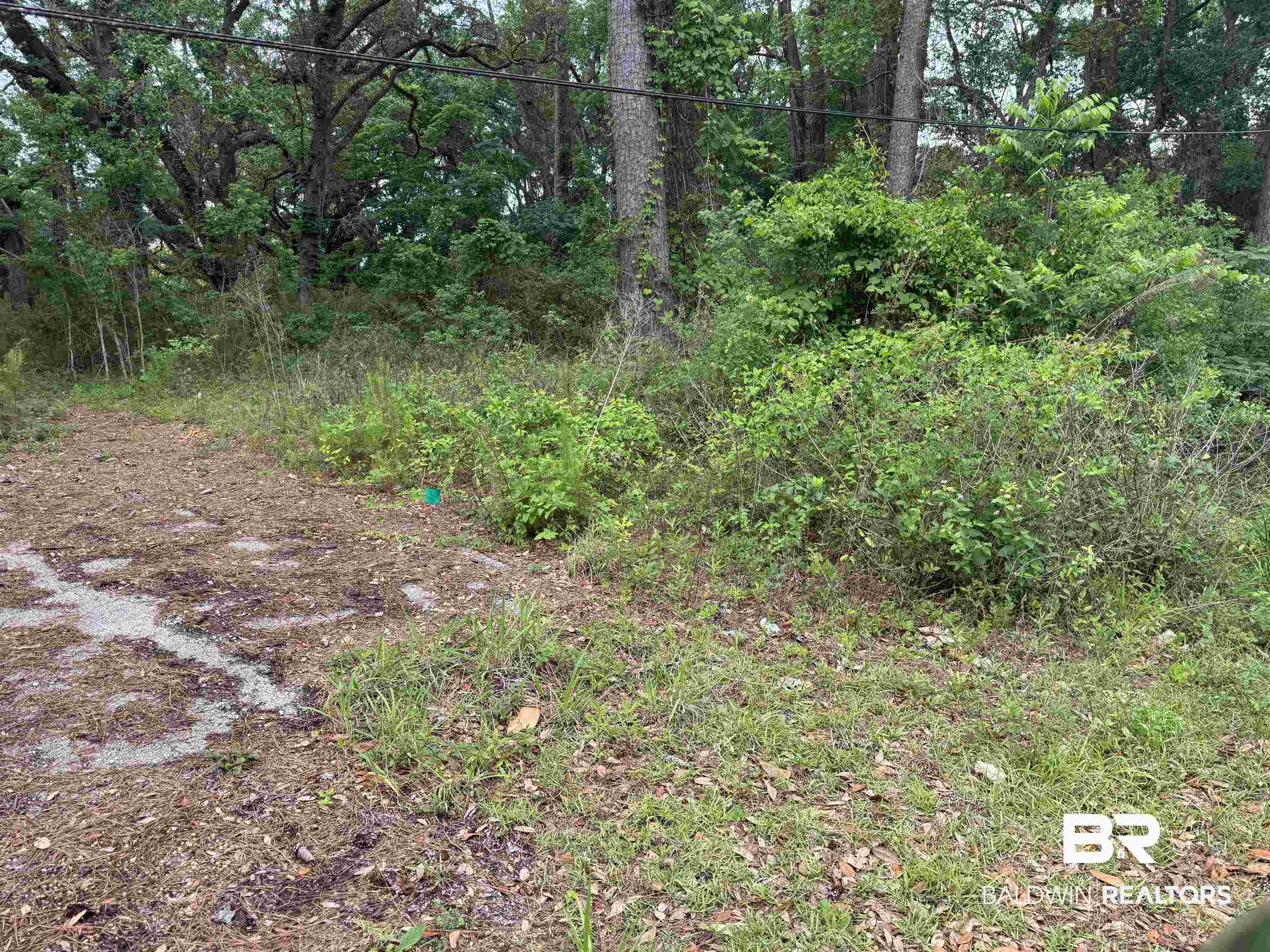 9050 Rice Creek Road Stockton, AL 36579 - Photo 1 of 3