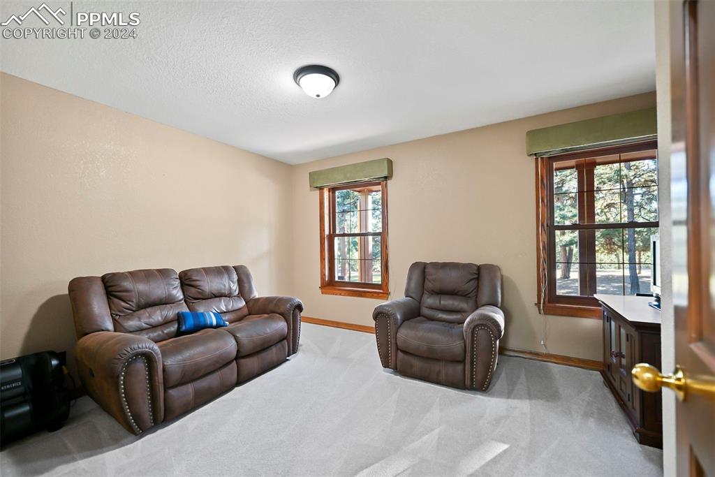 14560 Spiritwood Loop Elbert, CO 80106 - Photo 26 of 44 a living room with furniture and a window