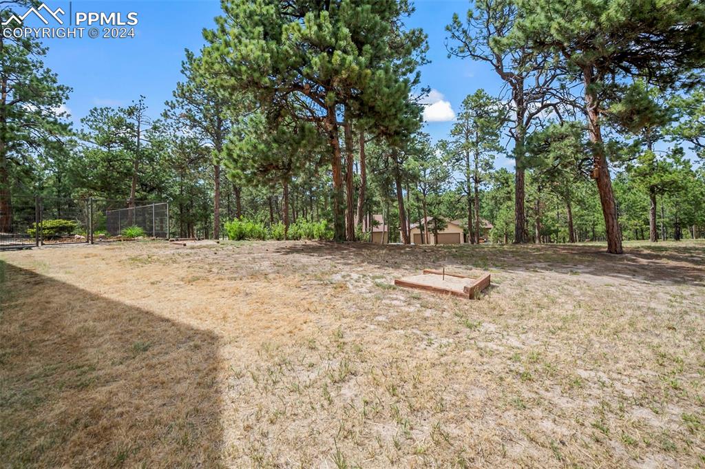 14560 Spiritwood Loop Elbert, CO 80106 - Photo 40 of 44 a view of outdoor space with trees