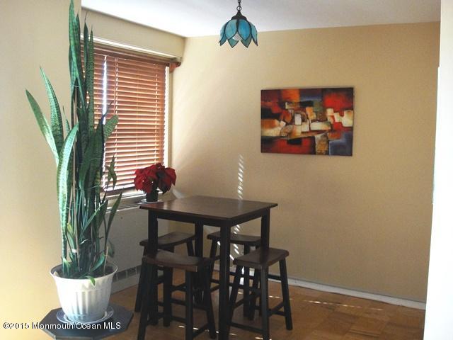 28 Riverside Avenue, Unit 5F Red Bank, NJ 07701 - Photo 5 of 14 DINING ROOM