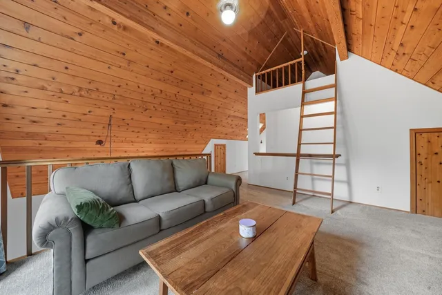a view of a patio with couches and a potted plant on a table
