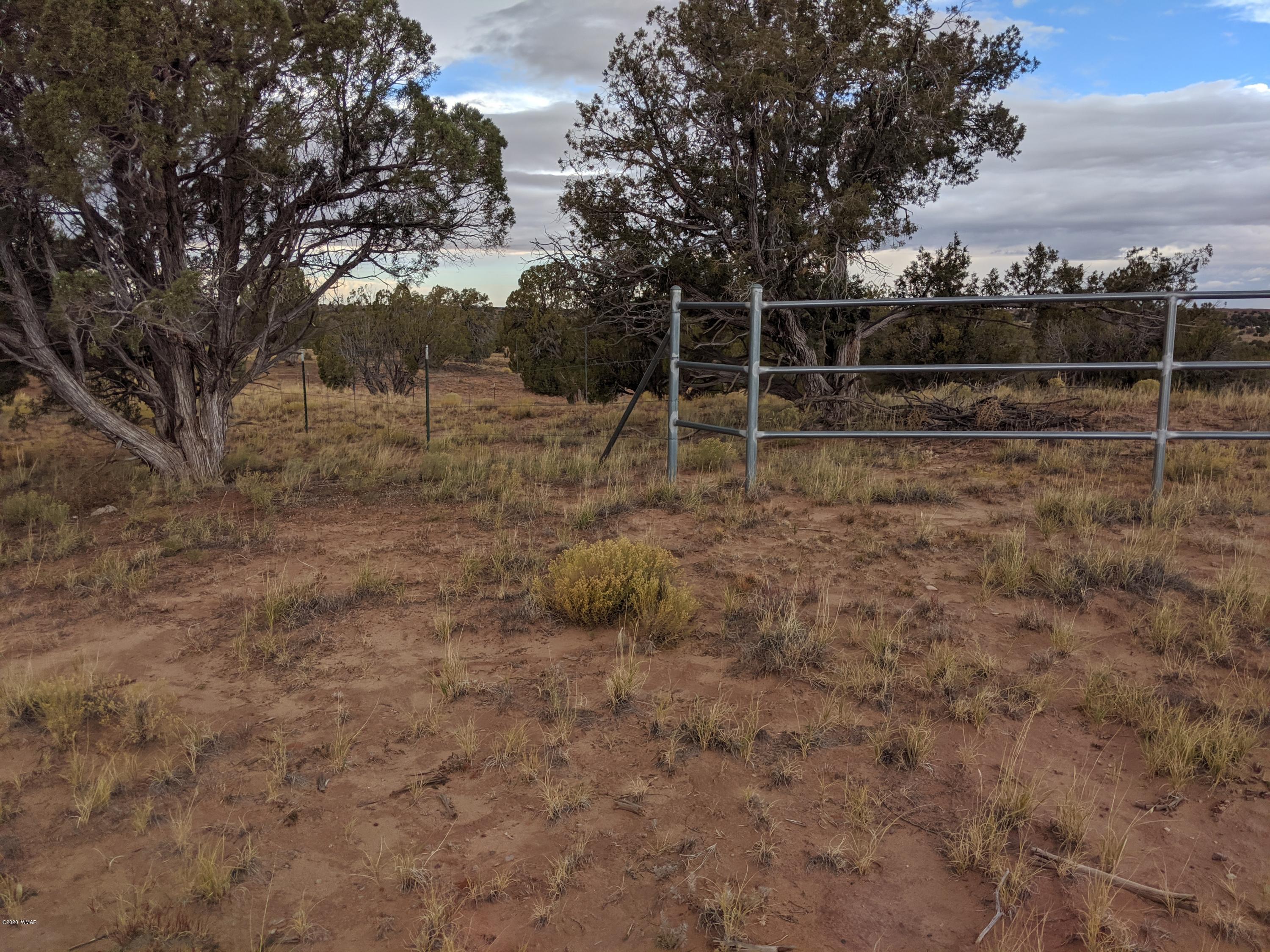 Lot 83 River Meadows Ranch Concho, AZ 85924 - Photo 1 of 21