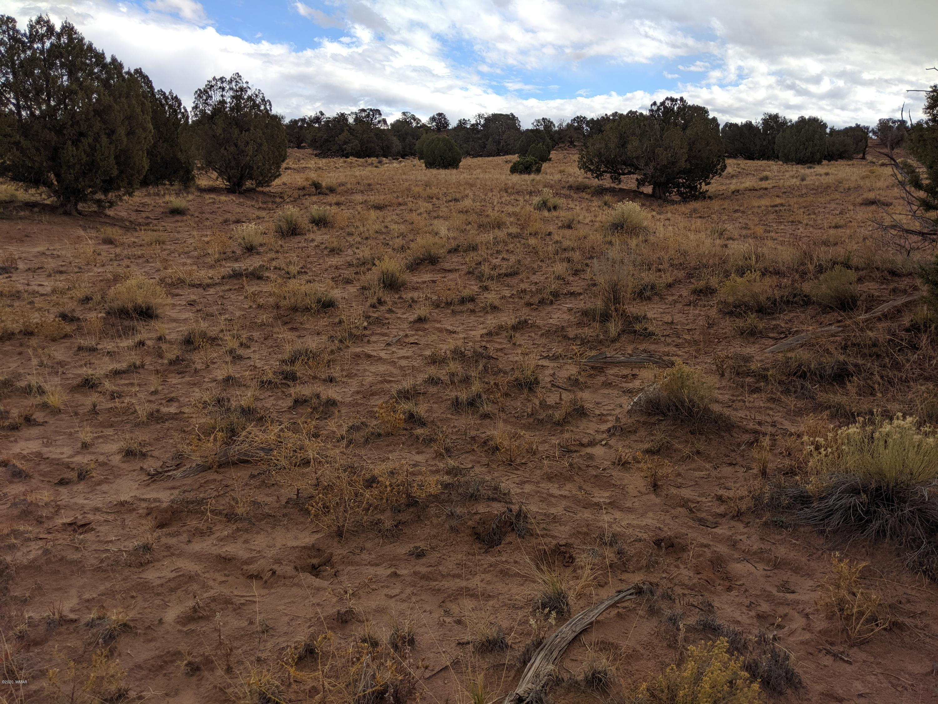 Lot 83 River Meadows Ranch Concho, AZ 85924 - Photo 11 of 21