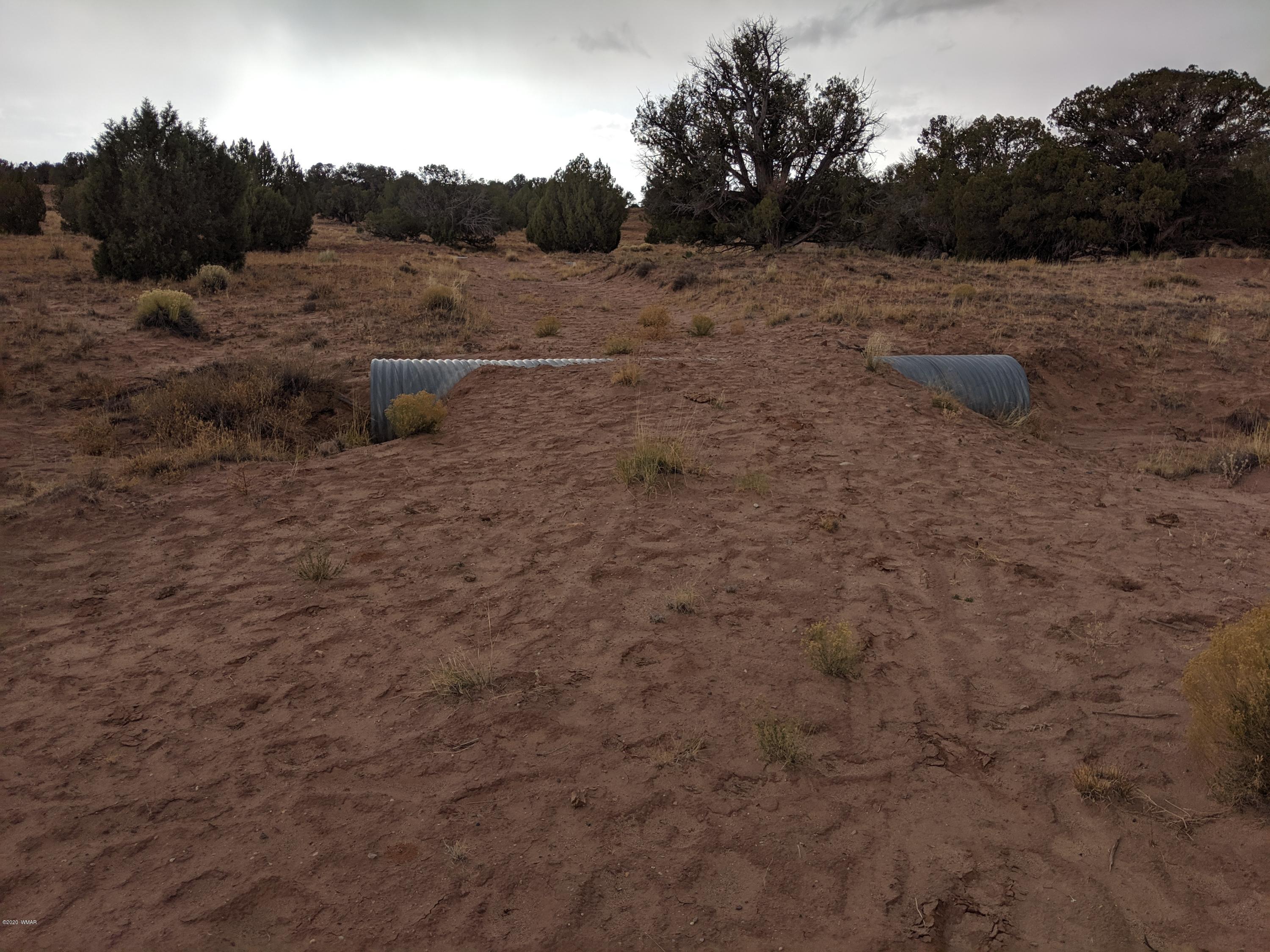 Lot 83 River Meadows Ranch Concho, AZ 85924 - Photo 12 of 21