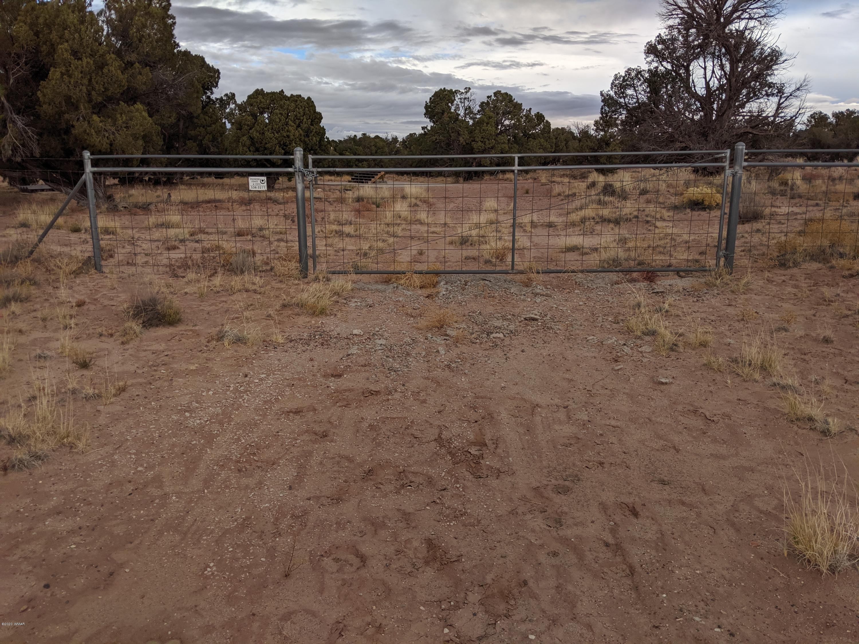 Lot 83 River Meadows Ranch Concho, AZ 85924 - Photo 13 of 21