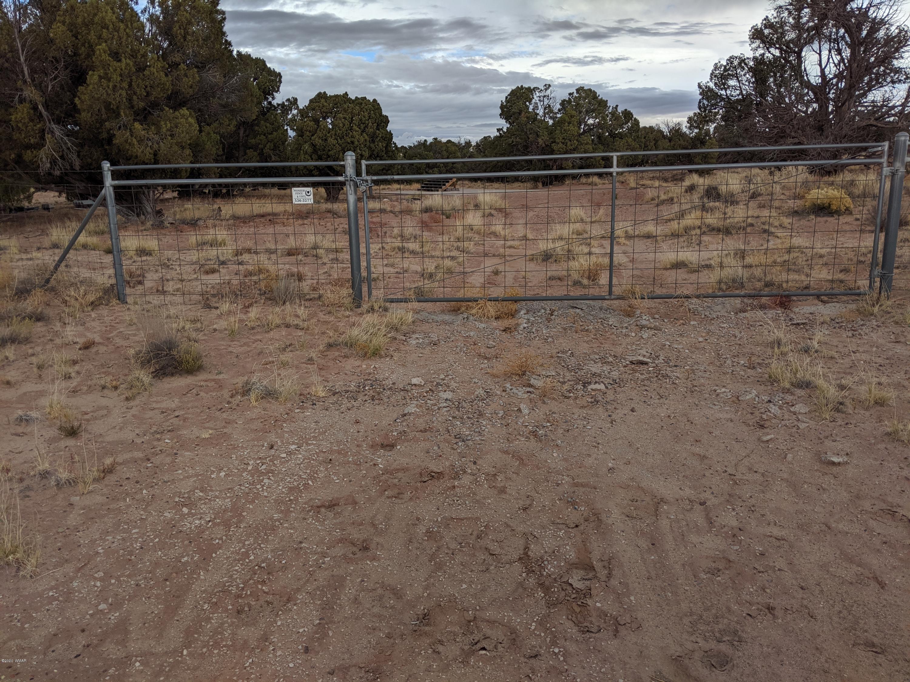 Lot 83 River Meadows Ranch Concho, AZ 85924 - Photo 14 of 21