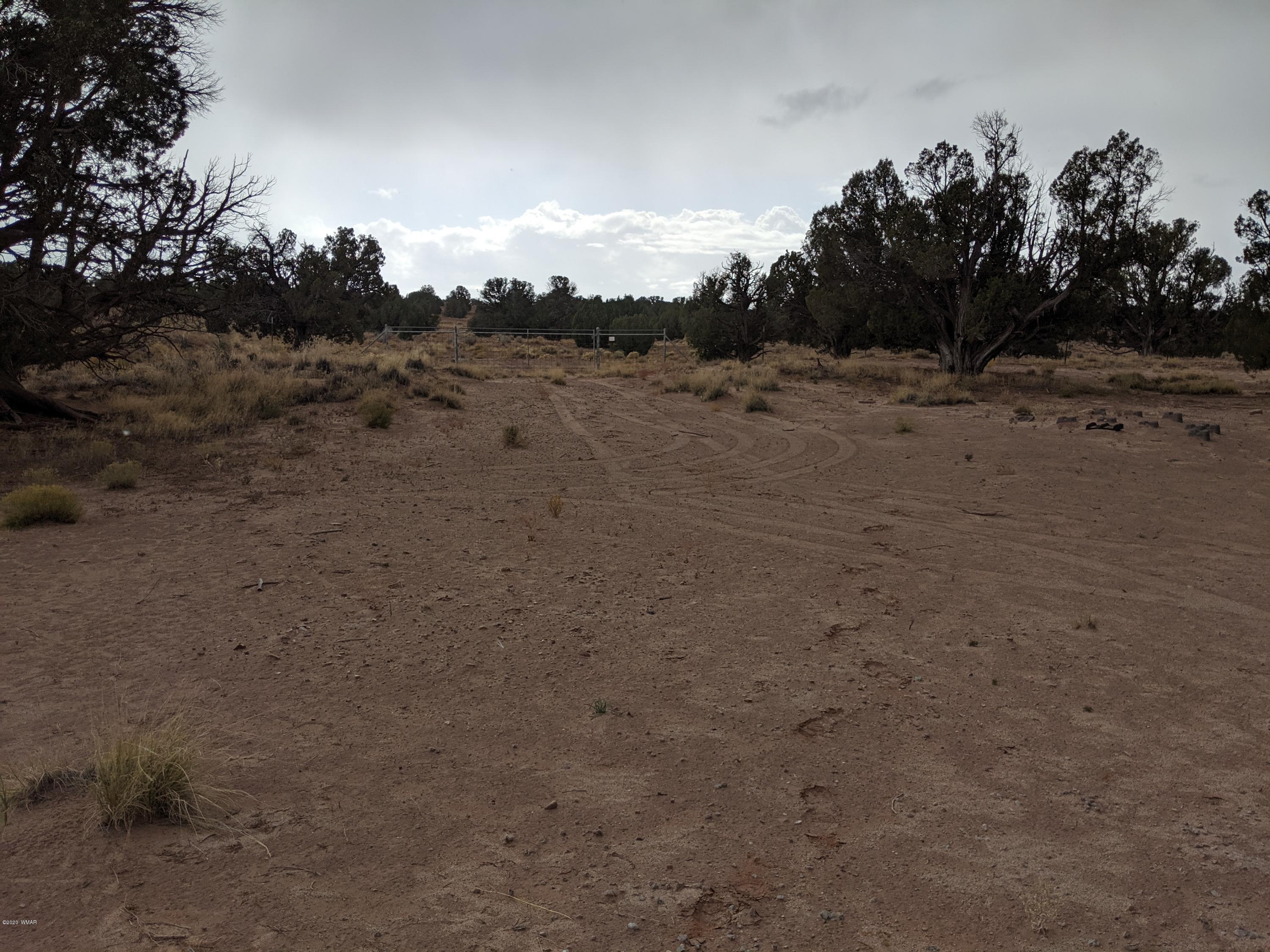 Lot 83 River Meadows Ranch Concho, AZ 85924 - Photo 17 of 21