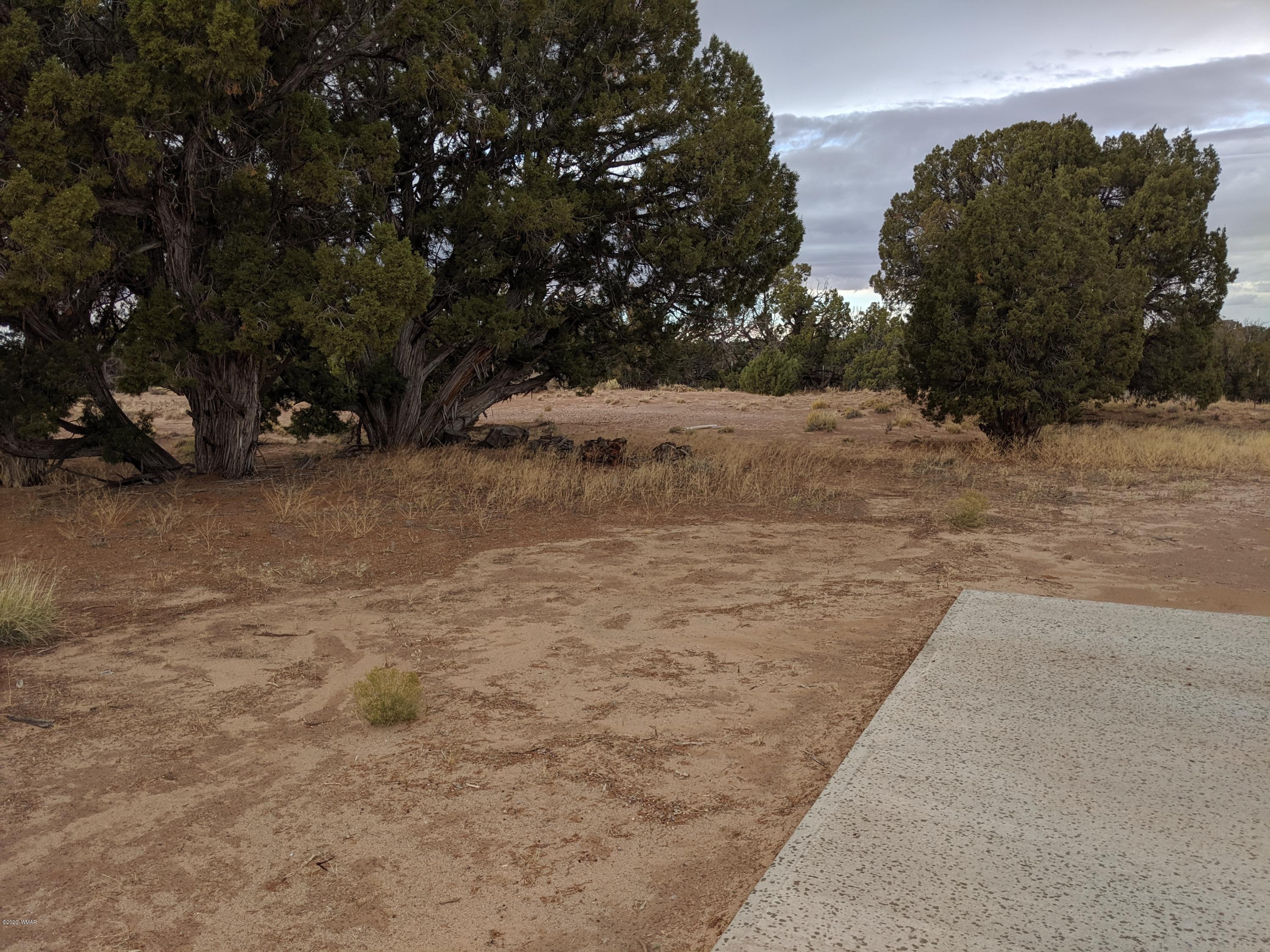 Lot 83 River Meadows Ranch Concho, AZ 85924 - Photo 18 of 21
