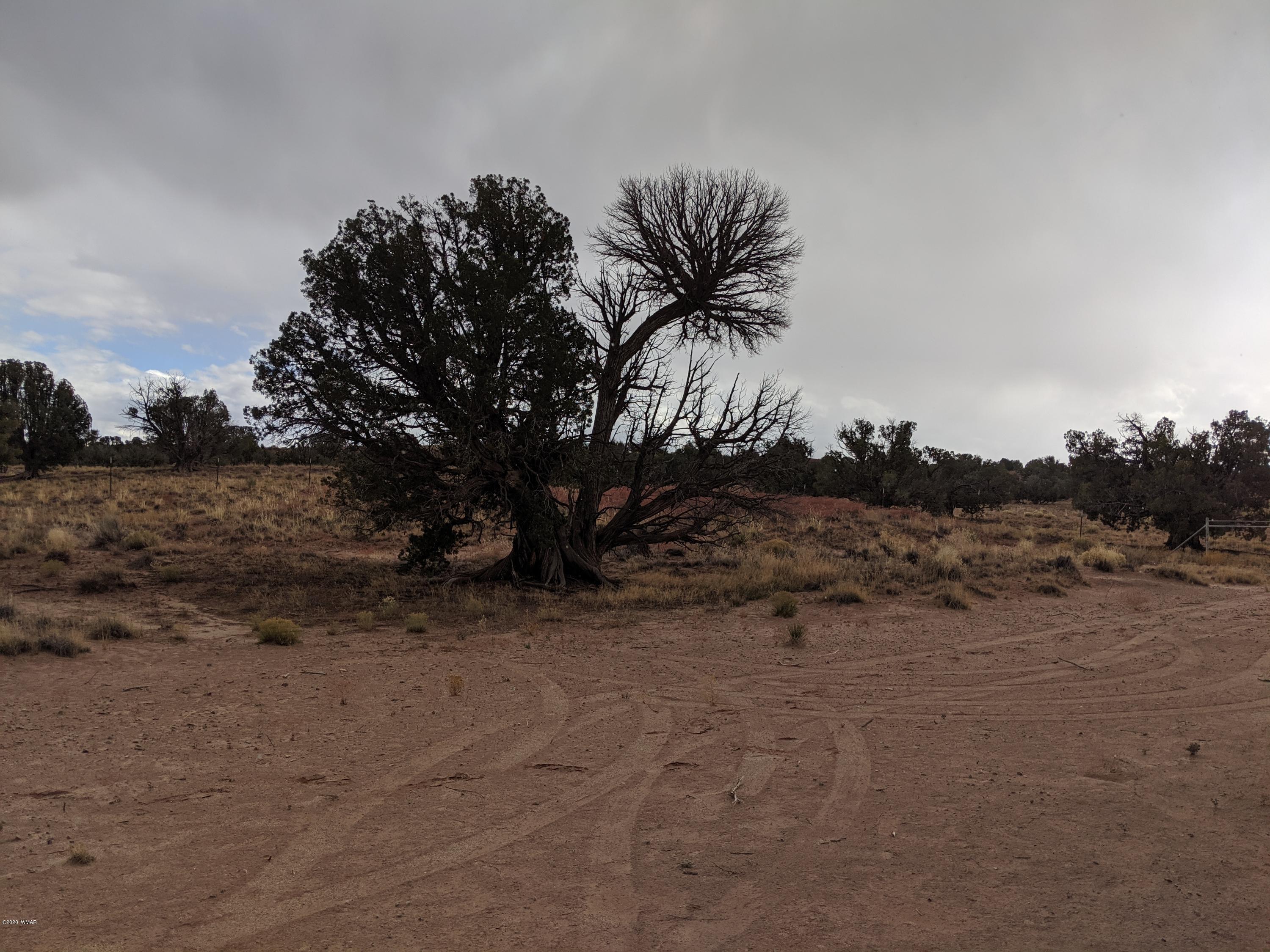 Lot 83 River Meadows Ranch Concho, AZ 85924 - Photo 19 of 21