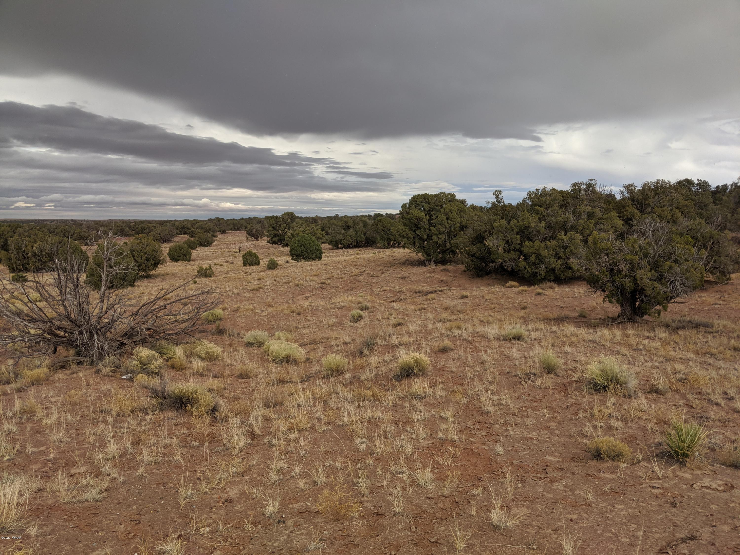 Lot 83 River Meadows Ranch Concho, AZ 85924 - Photo 20 of 21