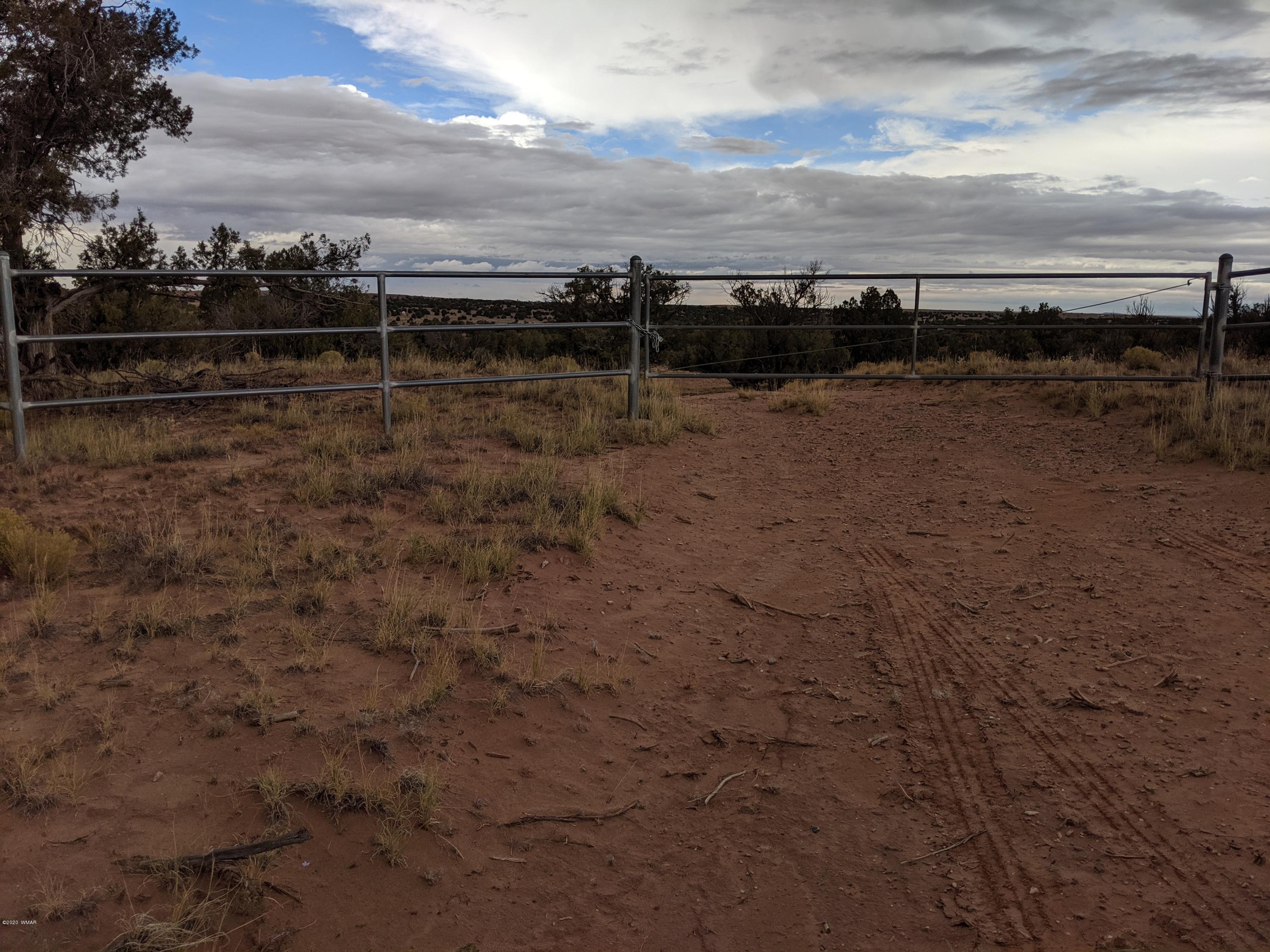 Lot 83 River Meadows Ranch Concho, AZ 85924 - Photo 2 of 21