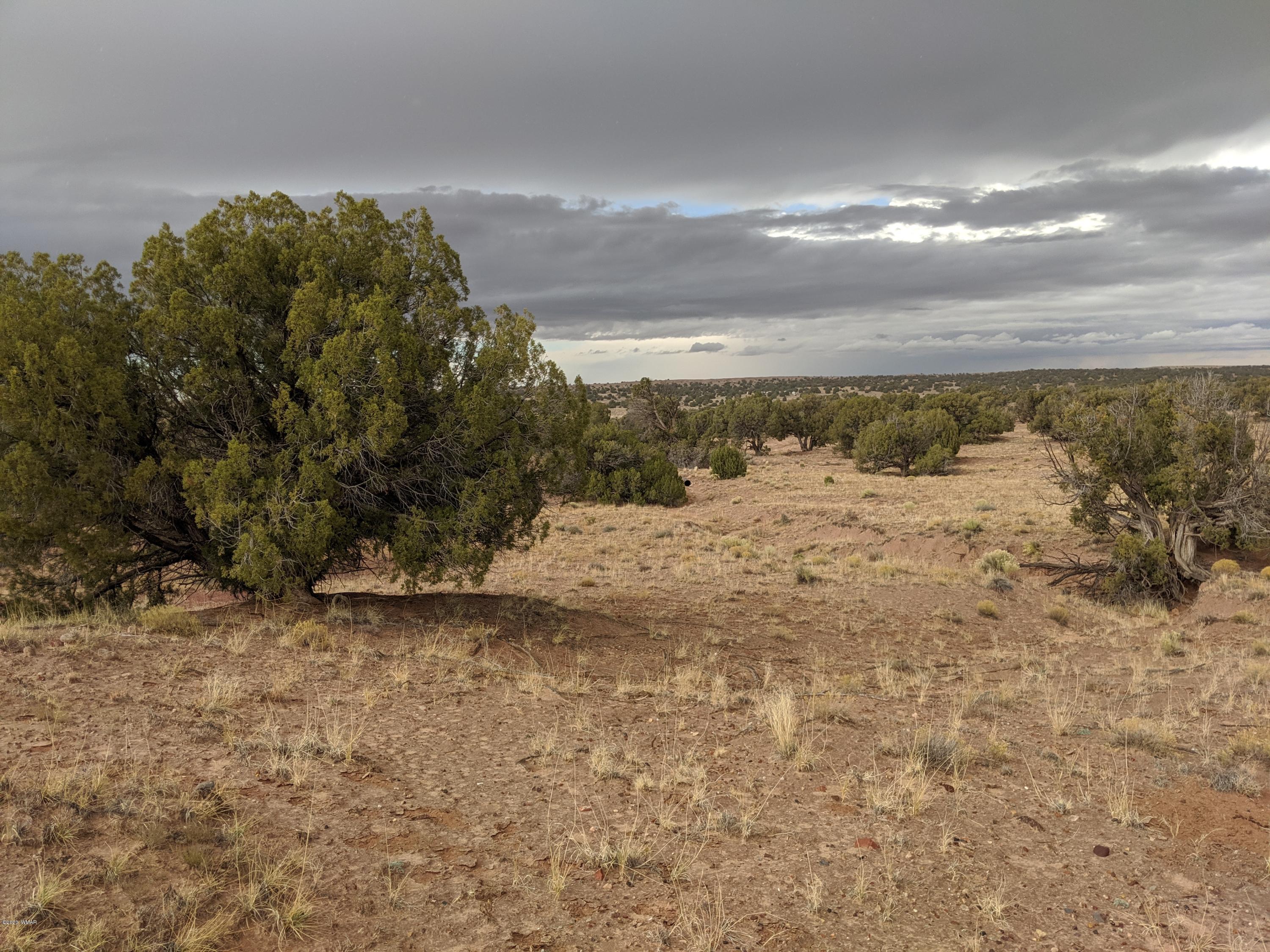 Lot 83 River Meadows Ranch Concho, AZ 85924 - Photo 21 of 21