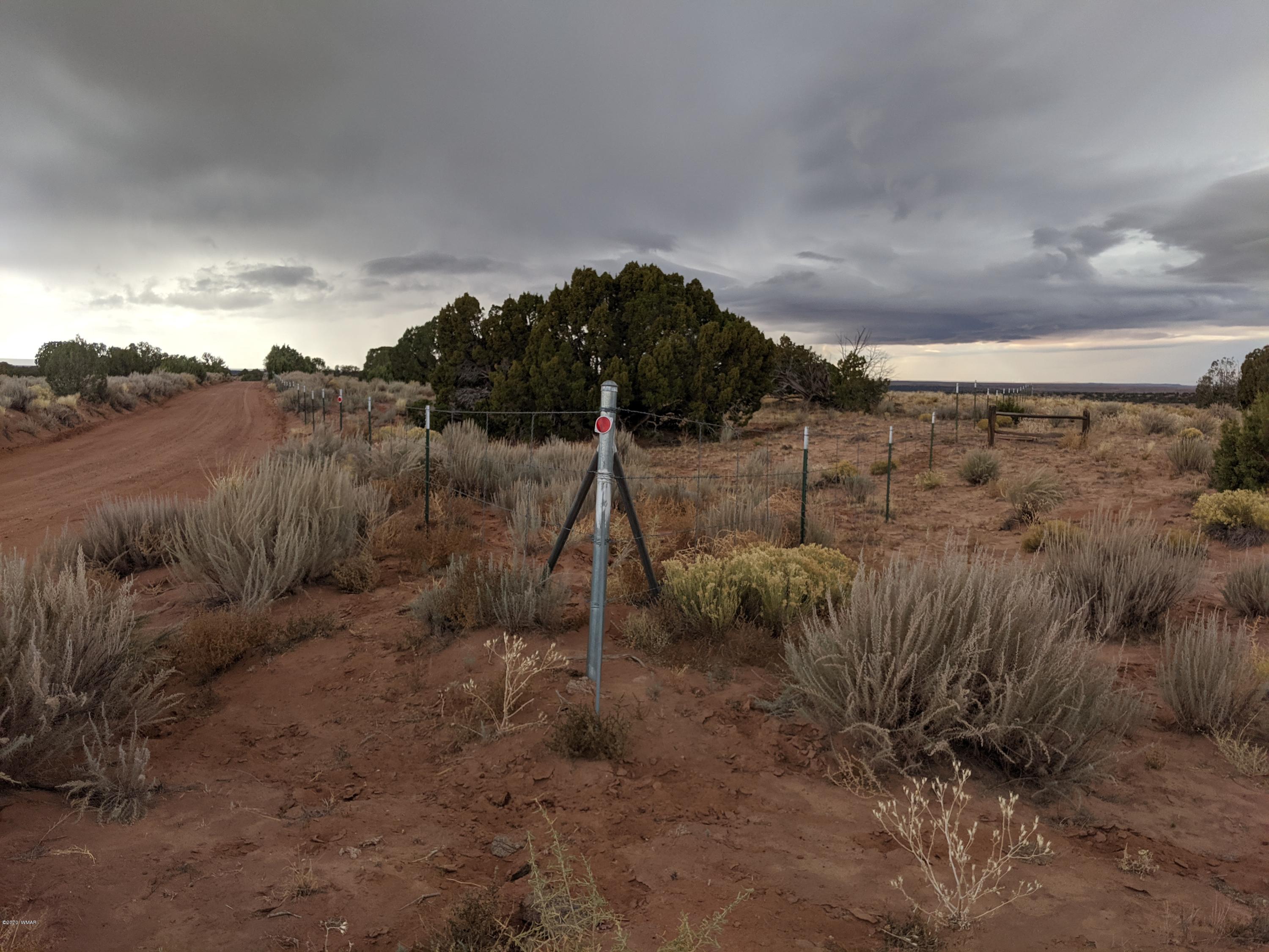 Lot 83 River Meadows Ranch Concho, AZ 85924 - Photo 3 of 21