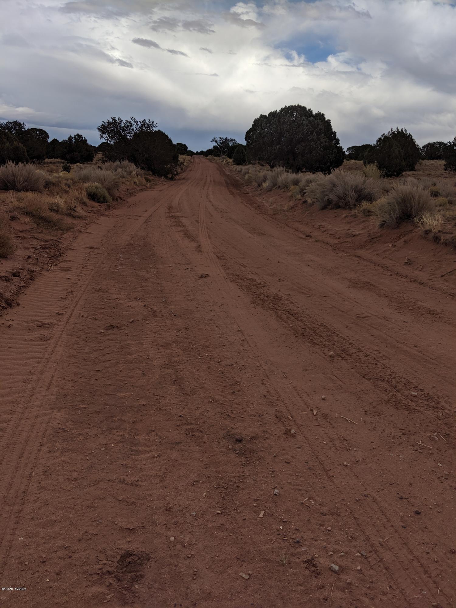 Lot 83 River Meadows Ranch Concho, AZ 85924 - Photo 4 of 21