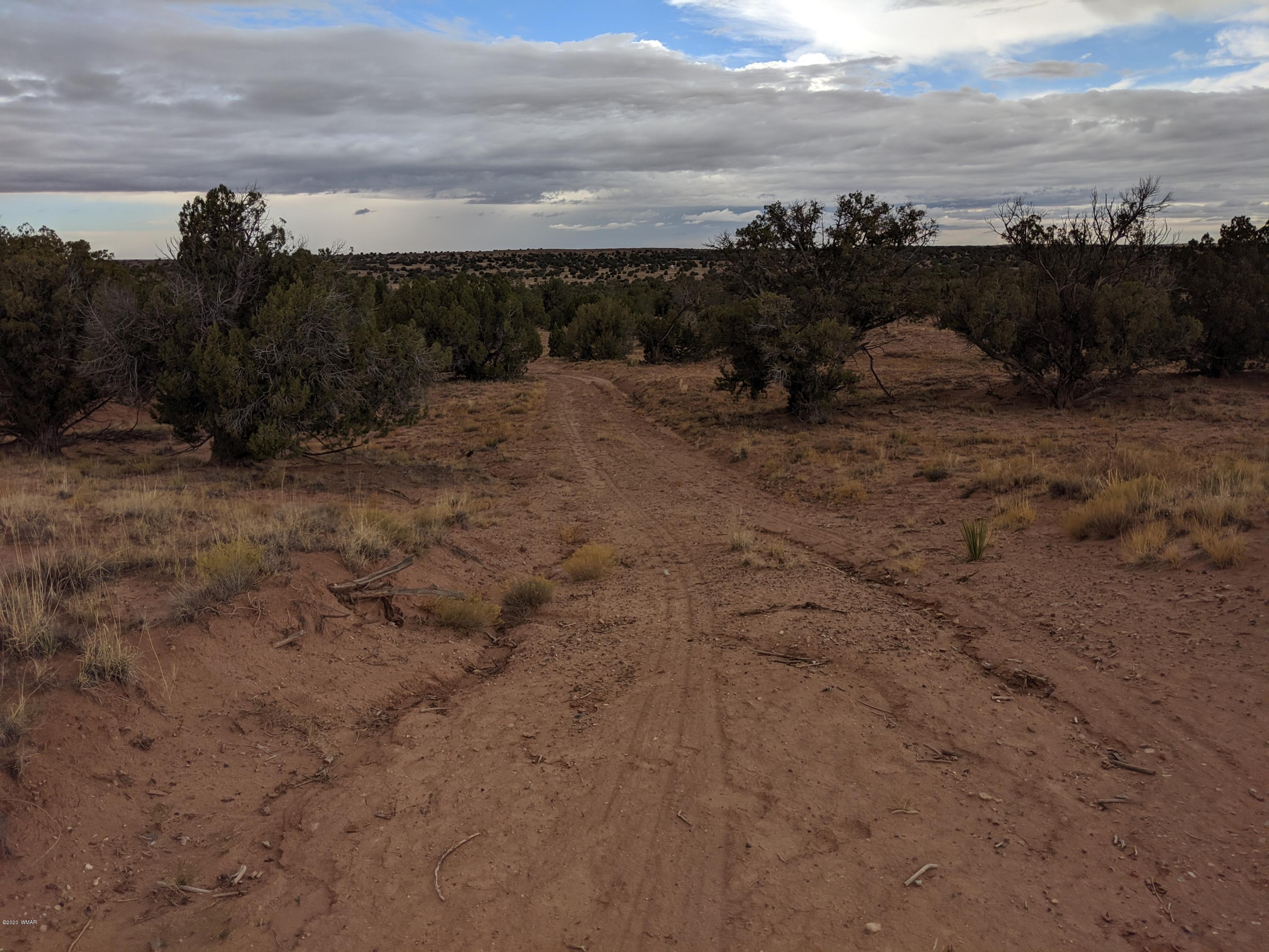 Lot 83 River Meadows Ranch Concho, AZ 85924 - Photo 5 of 21