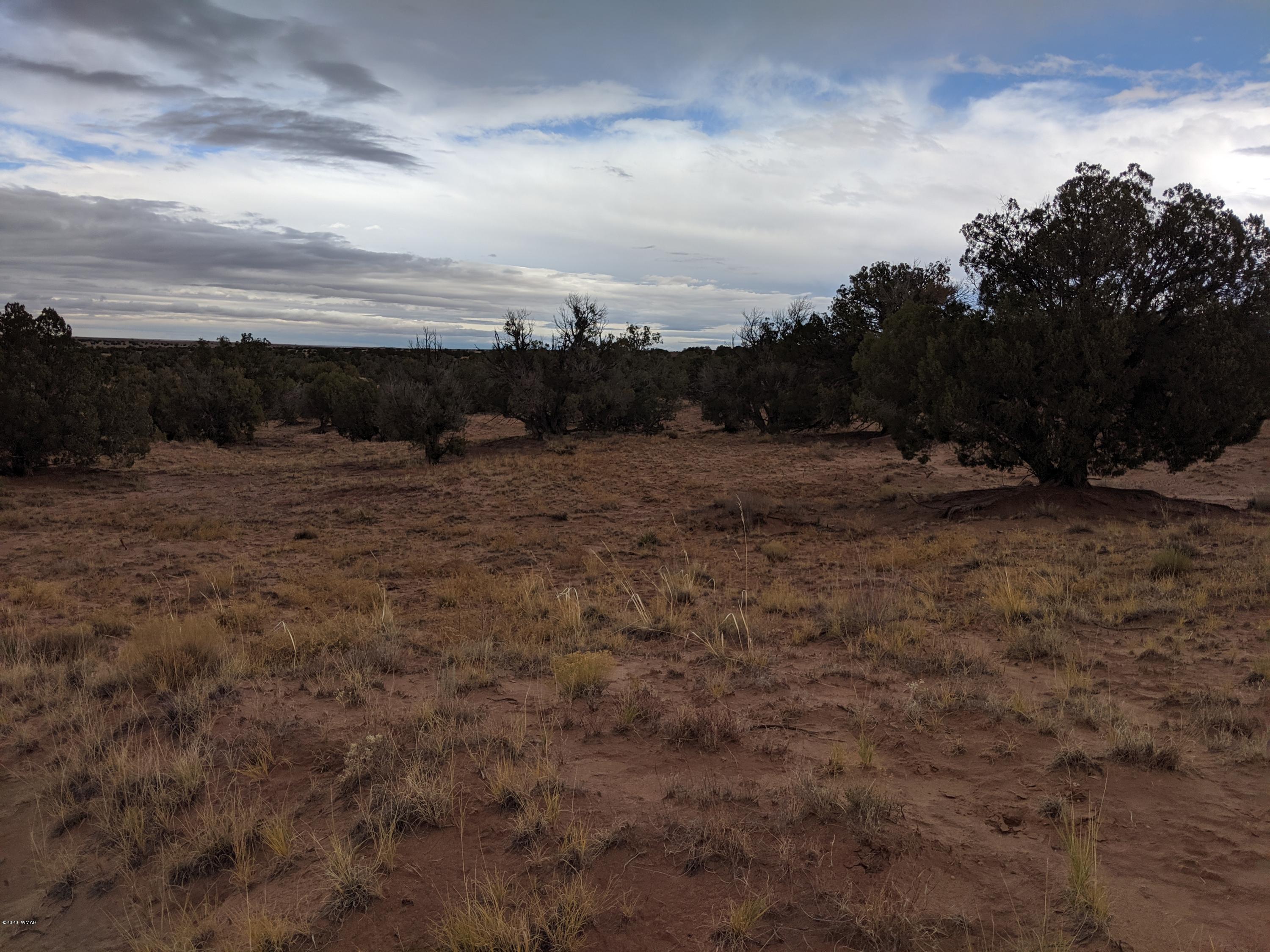 Lot 83 River Meadows Ranch Concho, AZ 85924 - Photo 6 of 21