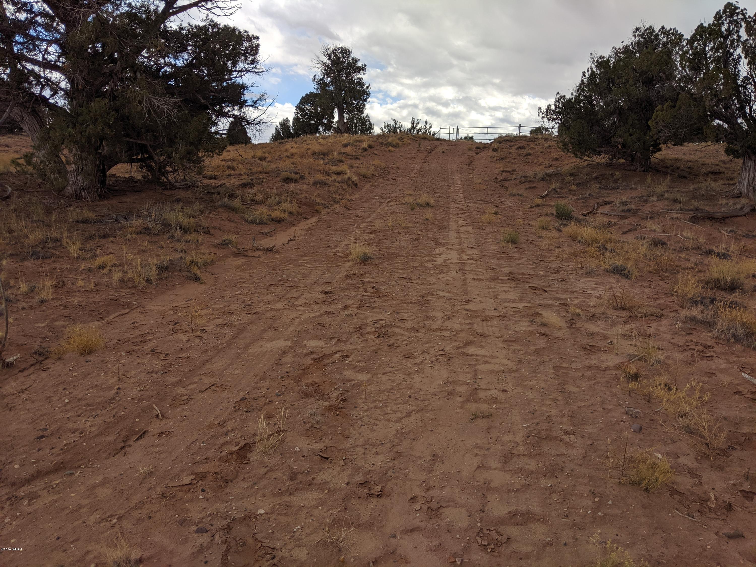 Lot 83 River Meadows Ranch Concho, AZ 85924 - Photo 7 of 21