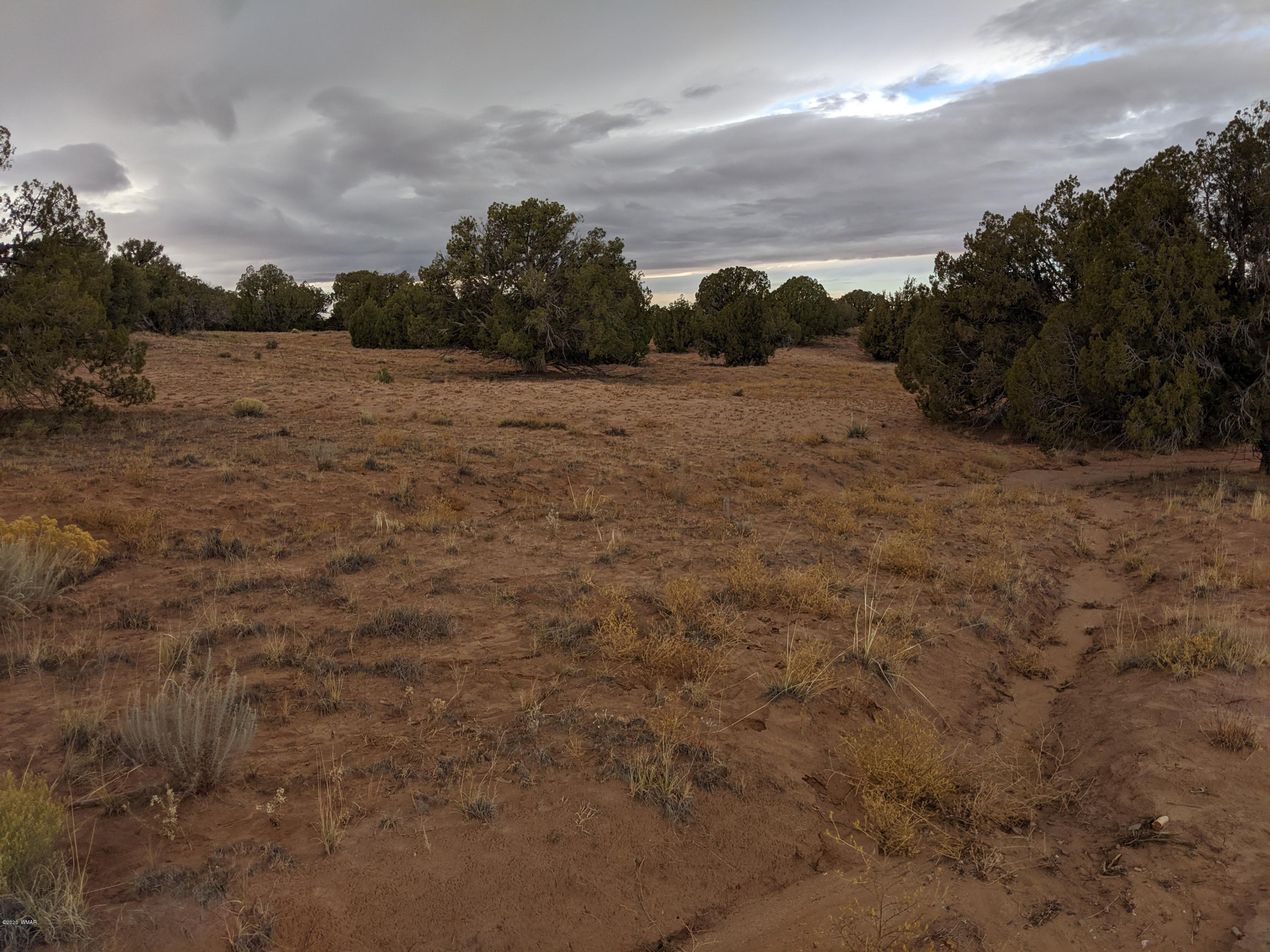 Lot 83 River Meadows Ranch Concho, AZ 85924 - Photo 8 of 21
