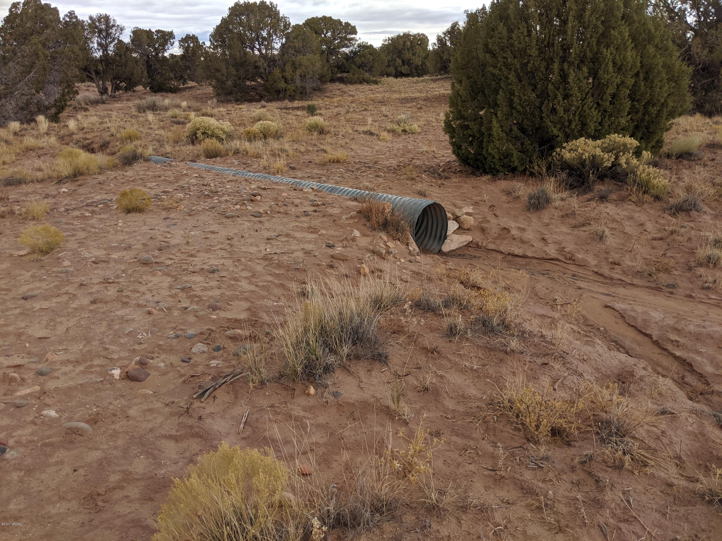 Lot 83 River Meadows Ranch Concho, AZ 85924 - Photo 9 of 21