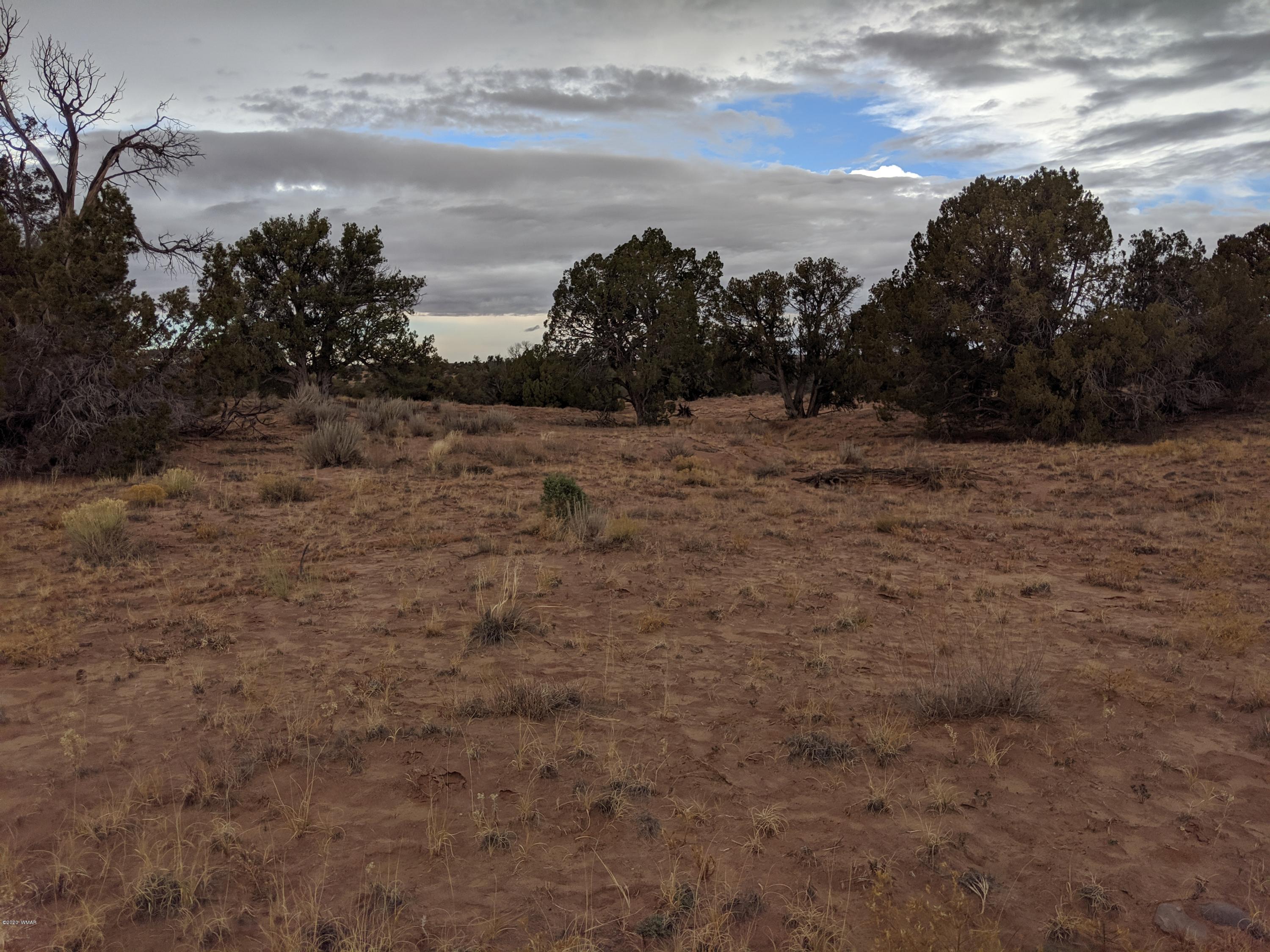 Lot 83 River Meadows Ranch Concho, AZ 85924 - Photo 10 of 21