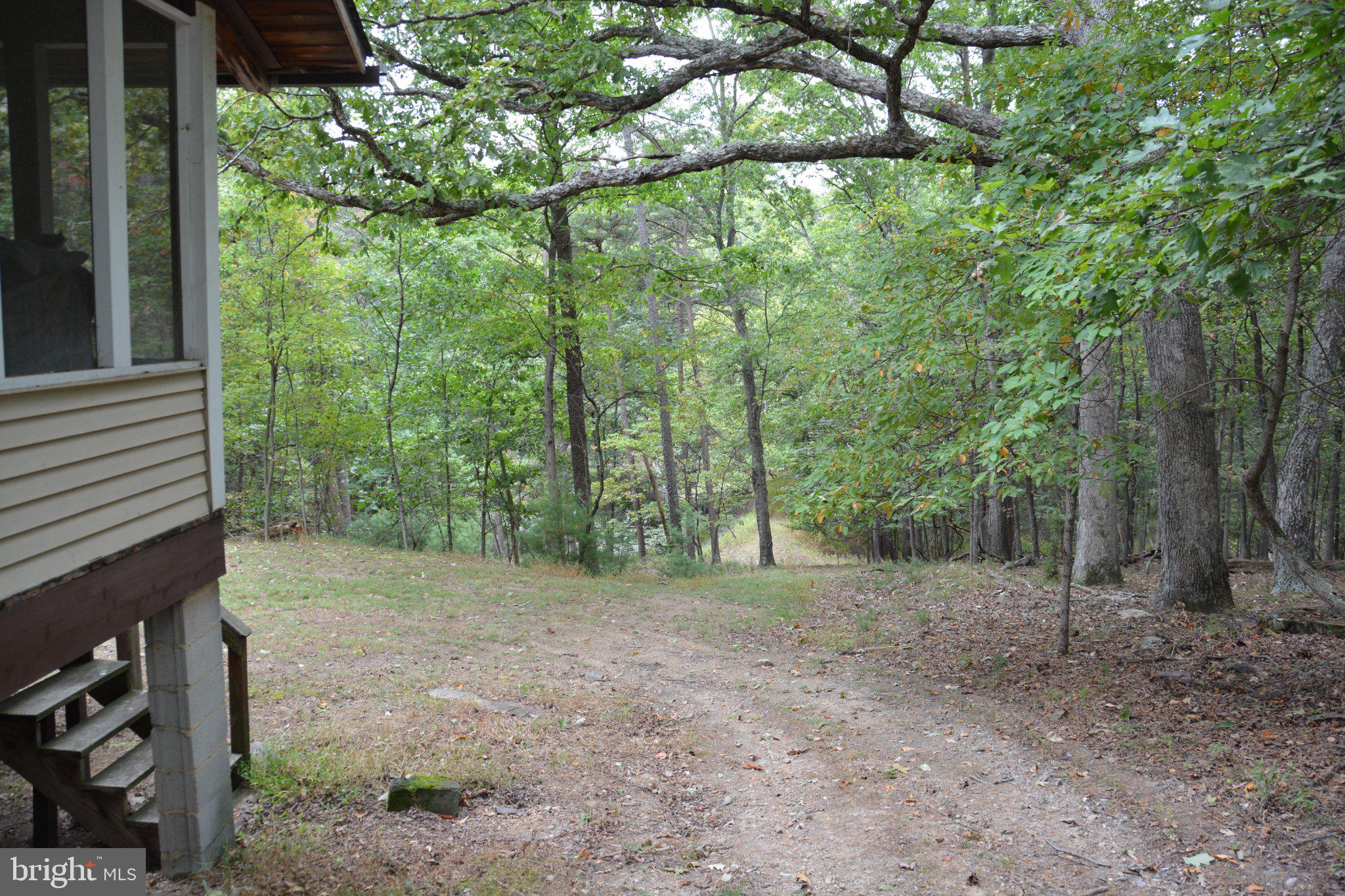 Path to pond below