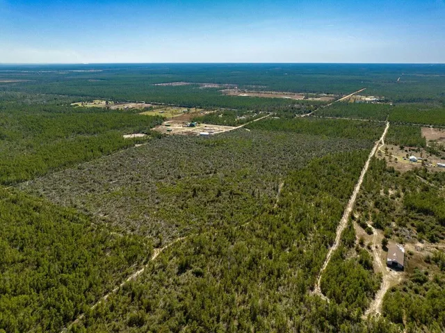 a view of a city with an ocean