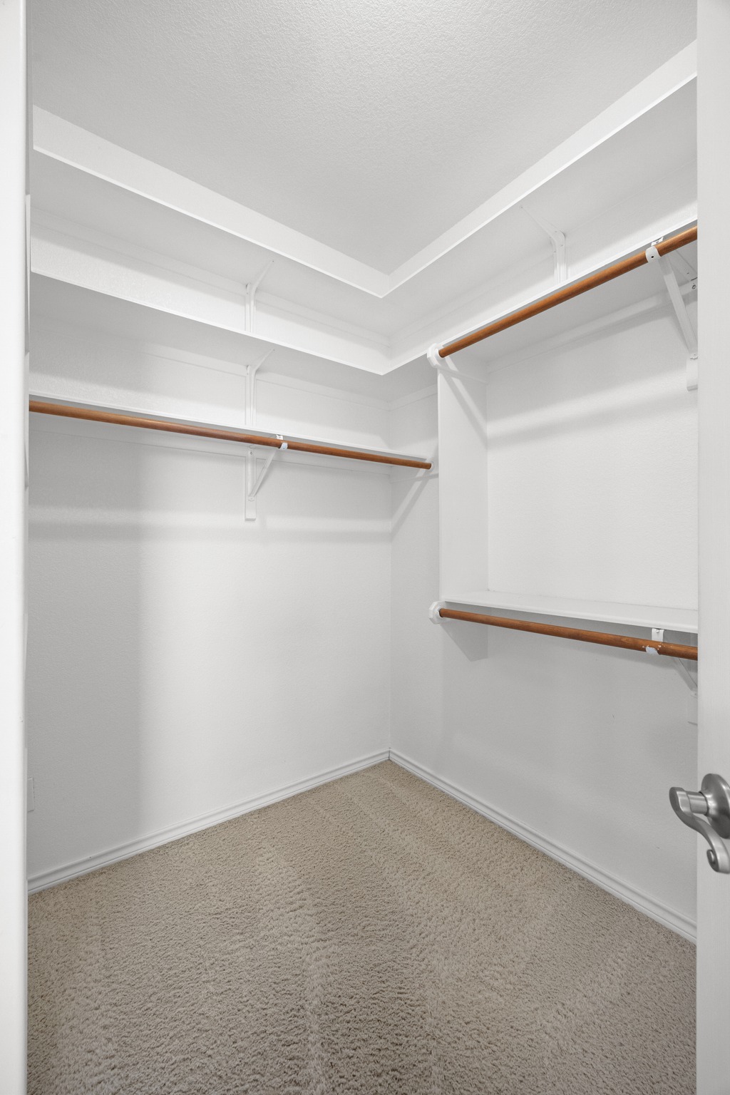 202 High Point Way Georgetown, TX 78626 - Photo 20 of 39 Primary Closet