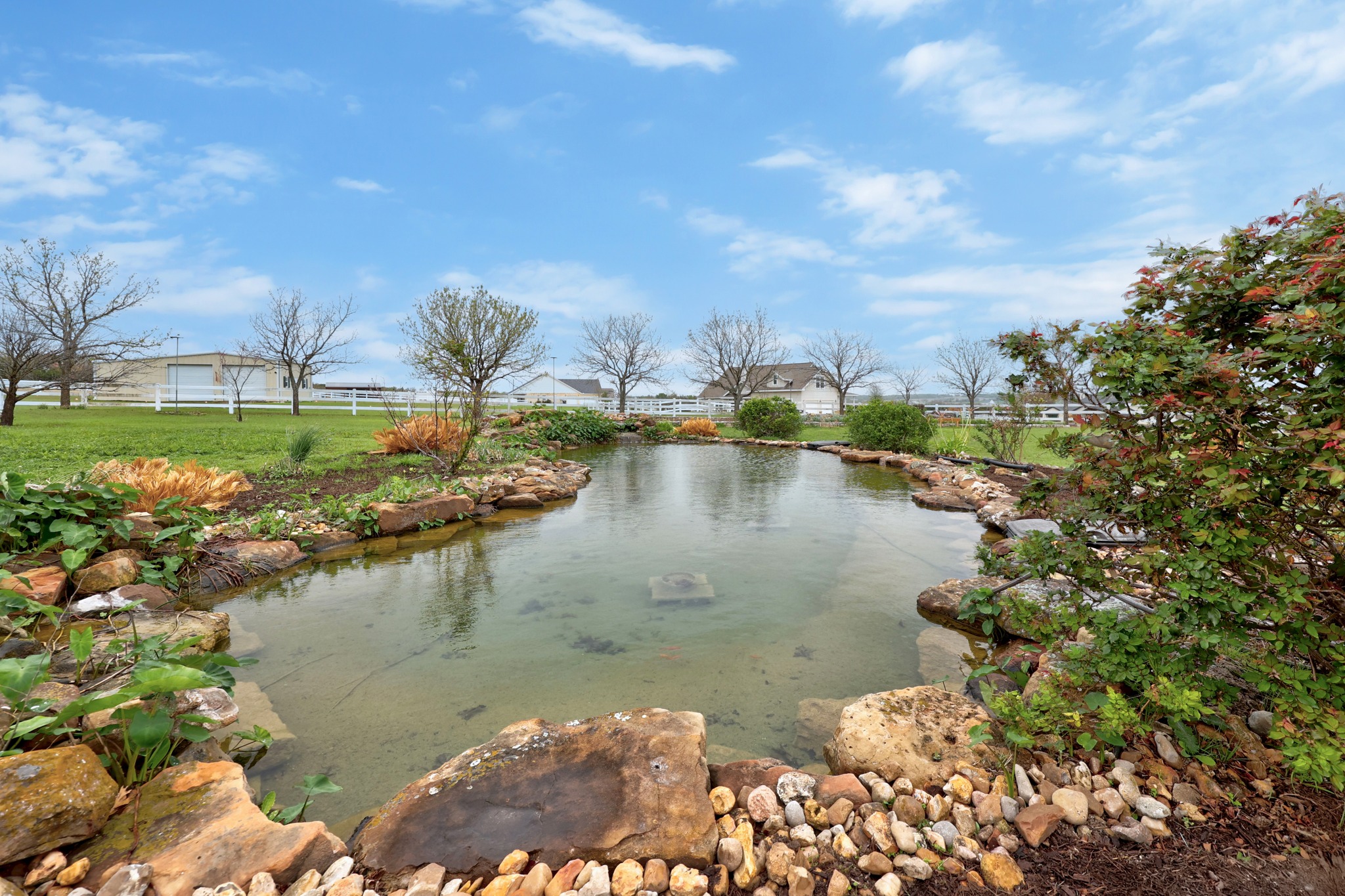 202 High Point Way Georgetown, TX 78626 - Photo 33 of 39 Backyard Pond