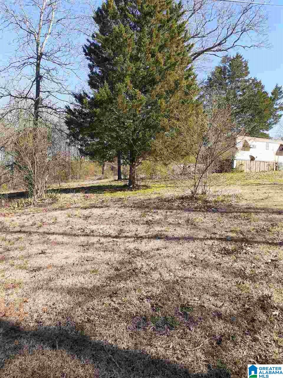 115 Rowland Road, Unit 115 Ashville, AL 35953 - Photo 1 of 4