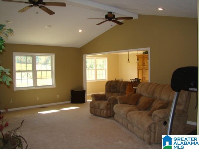800 Brooks Lake Road Lincoln, AL 35096 - Photo 30 of 33