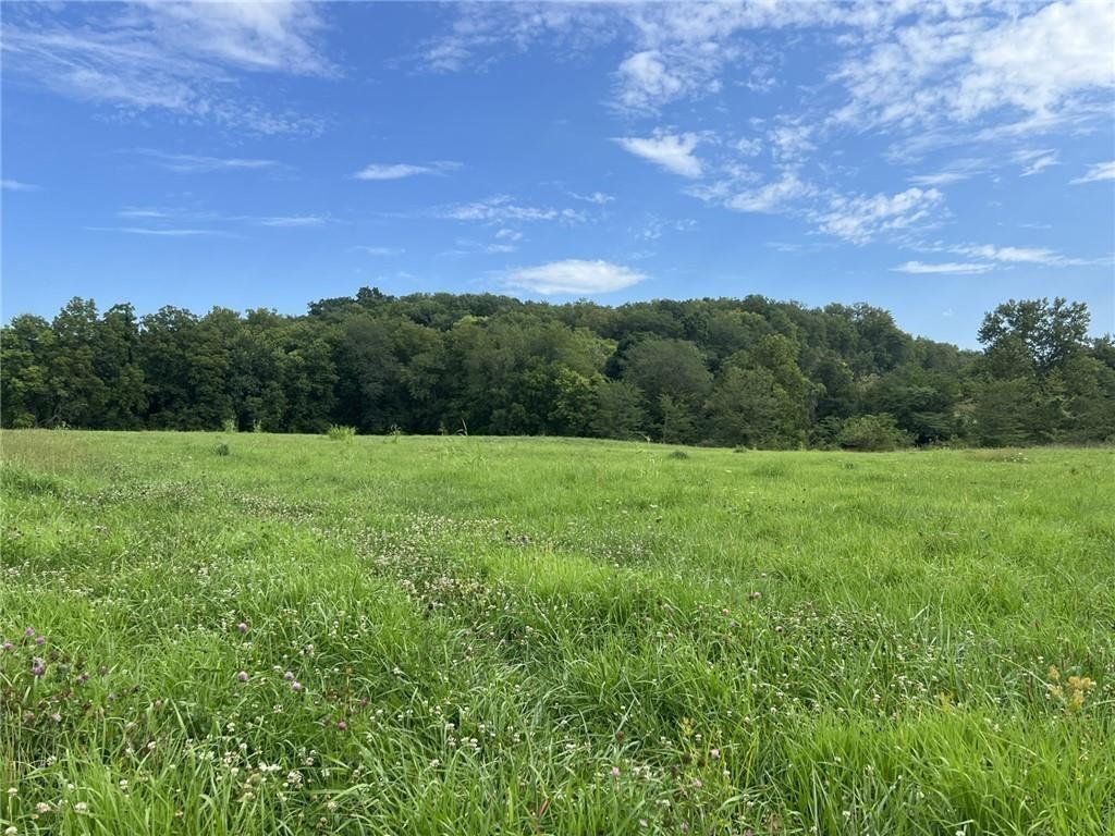 30105 Salem Road Weston, MO 64098 - Photo 14 of 15